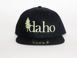 Iron Pine Kids Flatbill
